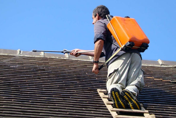 Peinture hydrofuge toiture : VELASCO COUVREUR : nettoyage toiture et protection anti-mousse. Revêtement peinture hydrofuge coloré dans la Sarthe 72
